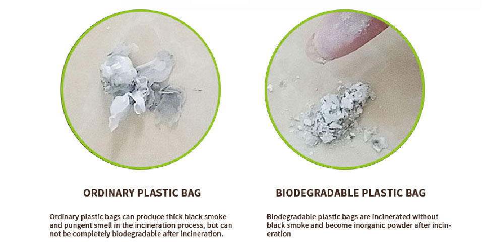 compostable plastic bag