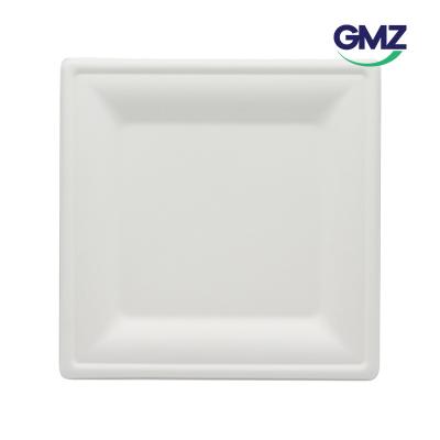 Sugarcane bagasse Square Plate