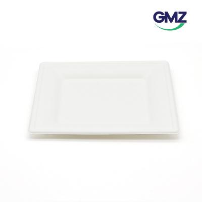 Sugarcane bagasse Square Plate